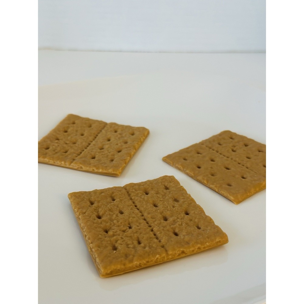 Nasco Nutrition Faux Food Display Graham Crackers Prop